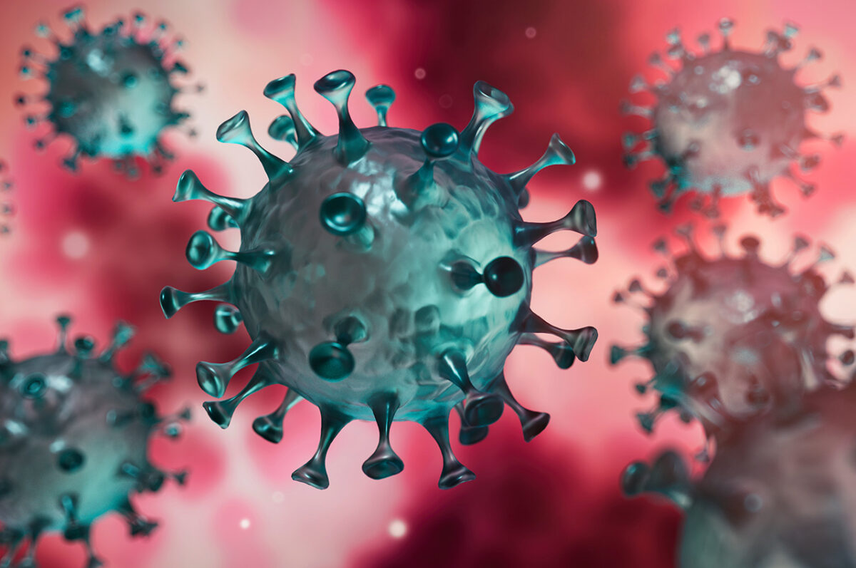 Une alimentation saine et équilibrée augmente votre immunité